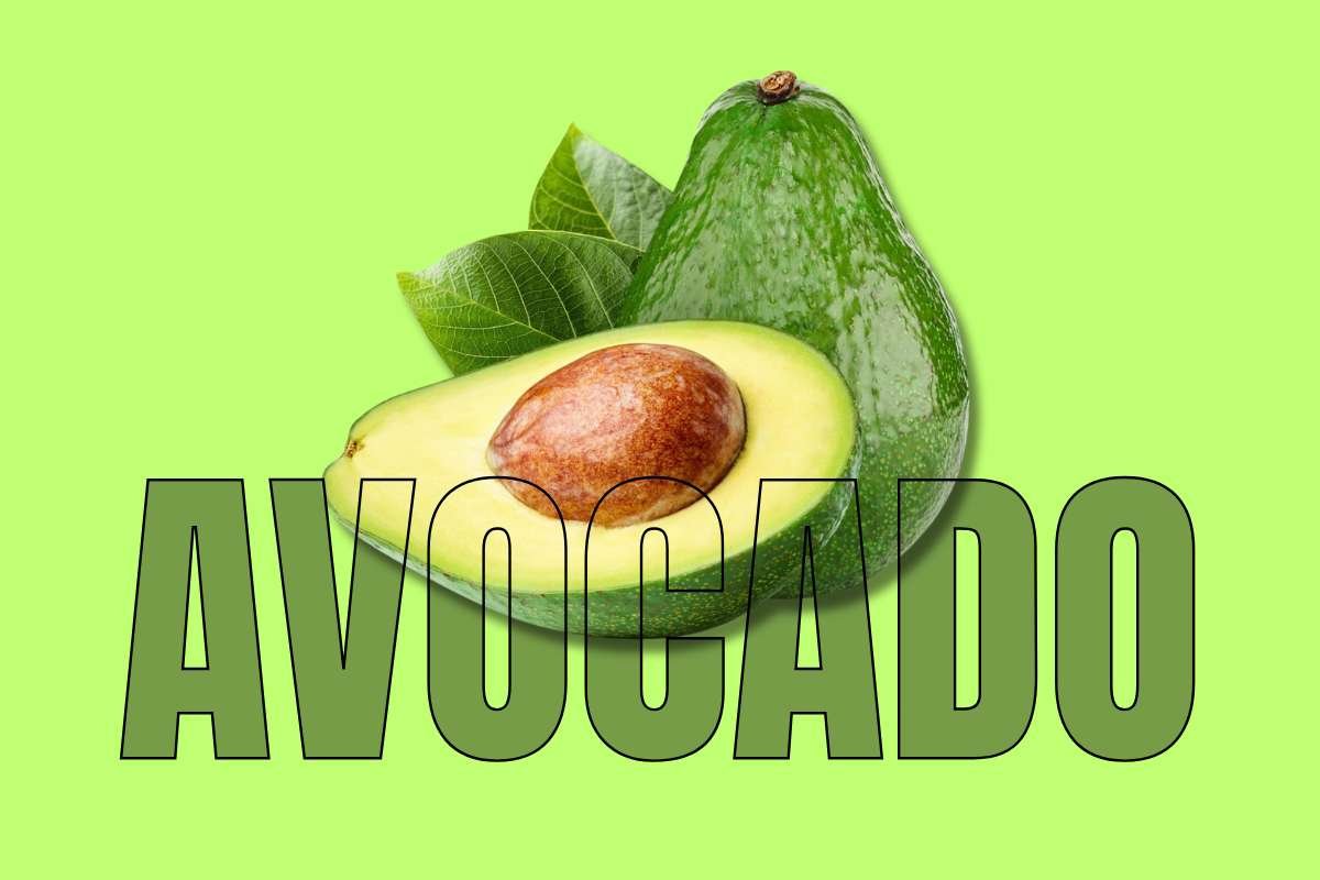 Healthiest Fruits: Top Picks for Daily Nutrition | Healthcare 360 Magazine