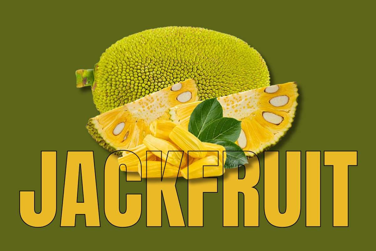 Healthiest Fruits: Top Picks for Daily Nutrition | Healthcare 360 Magazine