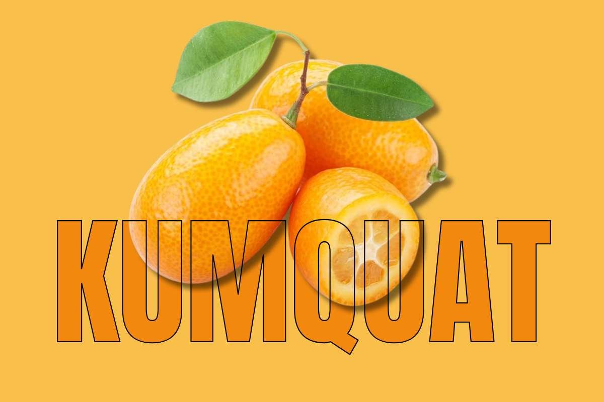 Healthiest Fruits: Top Picks for Daily Nutrition | Healthcare 360 Magazine