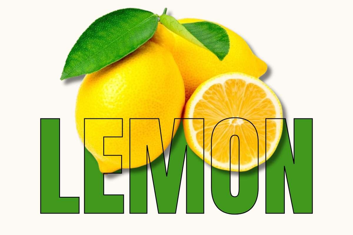 Healthiest Fruits: Top Picks for Daily Nutrition | Healthcare 360 Magazine