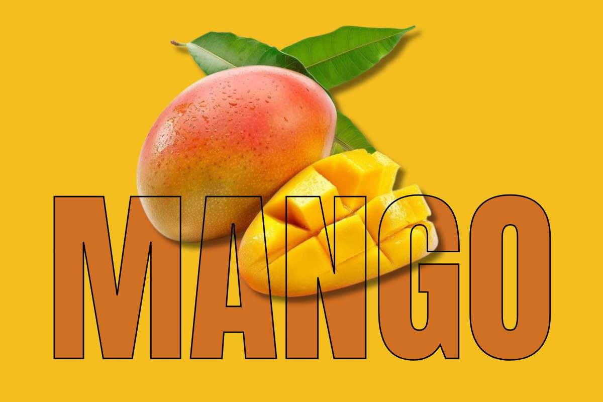 Healthiest Fruits: Top Picks for Daily Nutrition | Healthcare 360 Magazine