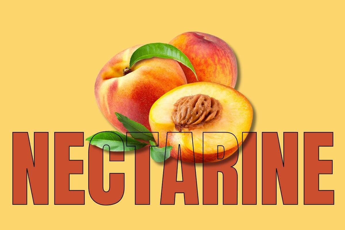 Healthiest Fruits: Top Picks for Daily Nutrition | Healthcare 360 Magazine