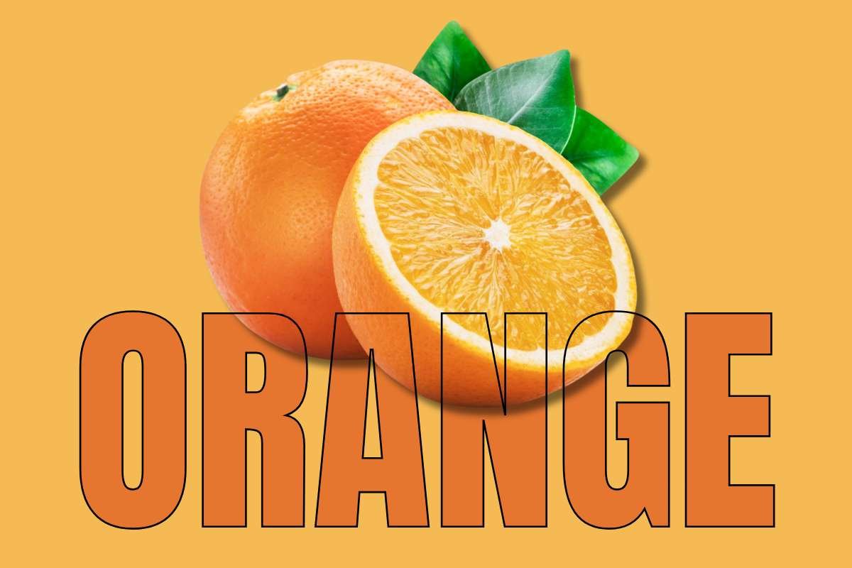 Healthiest Fruits: Top Picks for Daily Nutrition | Healthcare 360 Magazine