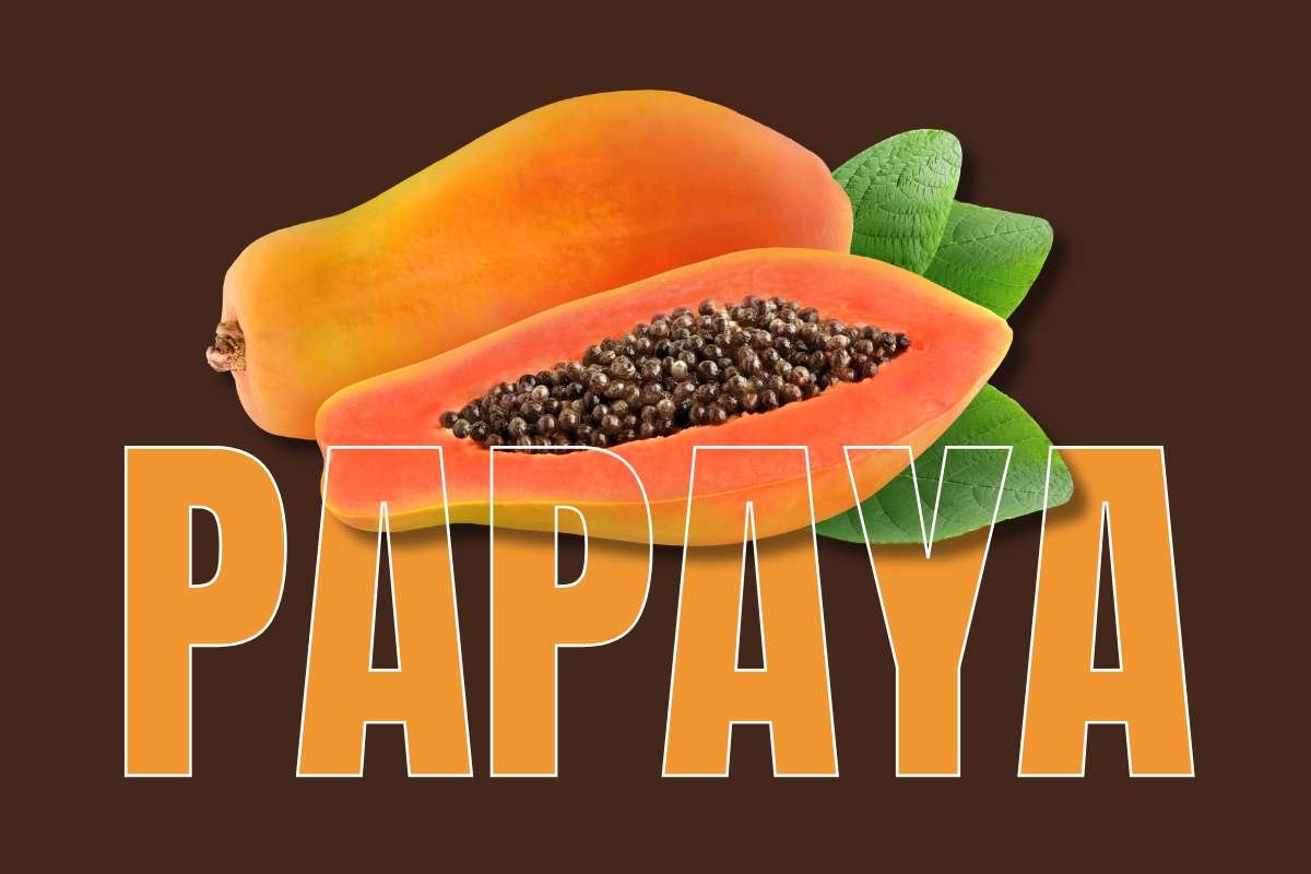 Healthiest Fruits: Top Picks for Daily Nutrition | Healthcare 360 Magazine