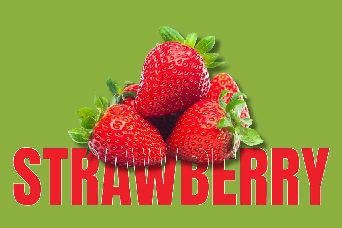 Healthiest Fruits: Top Picks for Daily Nutrition | Healthcare 360 Magazine