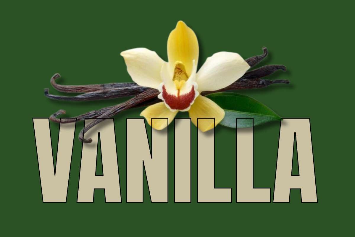 Healthiest Fruits: Top Picks for Daily Nutrition | Healthcare 360 Magazine