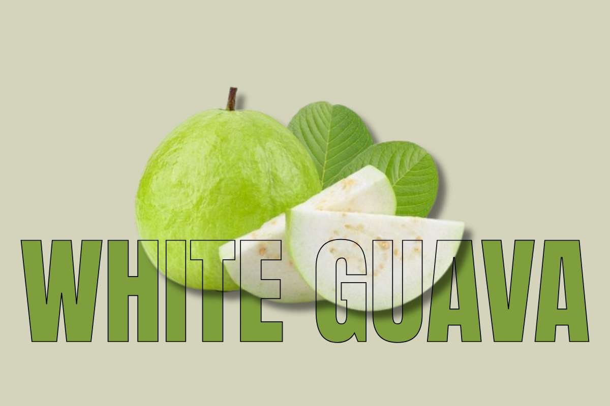 Healthiest Fruits: Top Picks for Daily Nutrition | Healthcare 360 Magazine