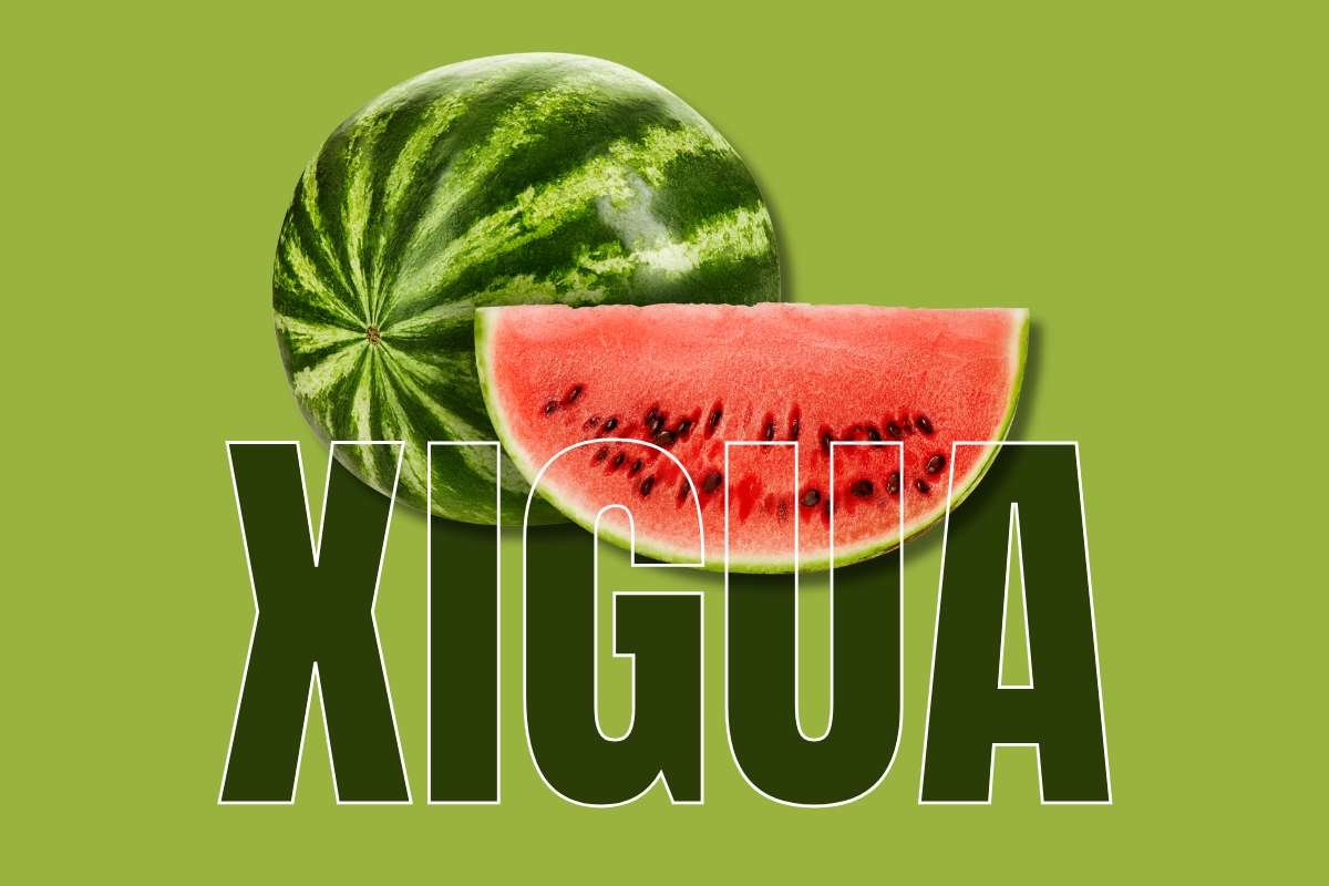 Healthiest Fruits: Top Picks for Daily Nutrition | Healthcare 360 Magazine