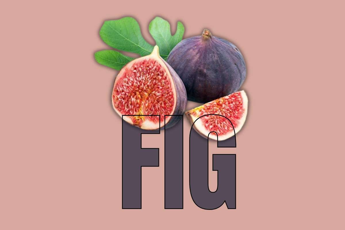 Healthiest Fruits: Top Picks for Daily Nutrition | Healthcare 360 Magazine