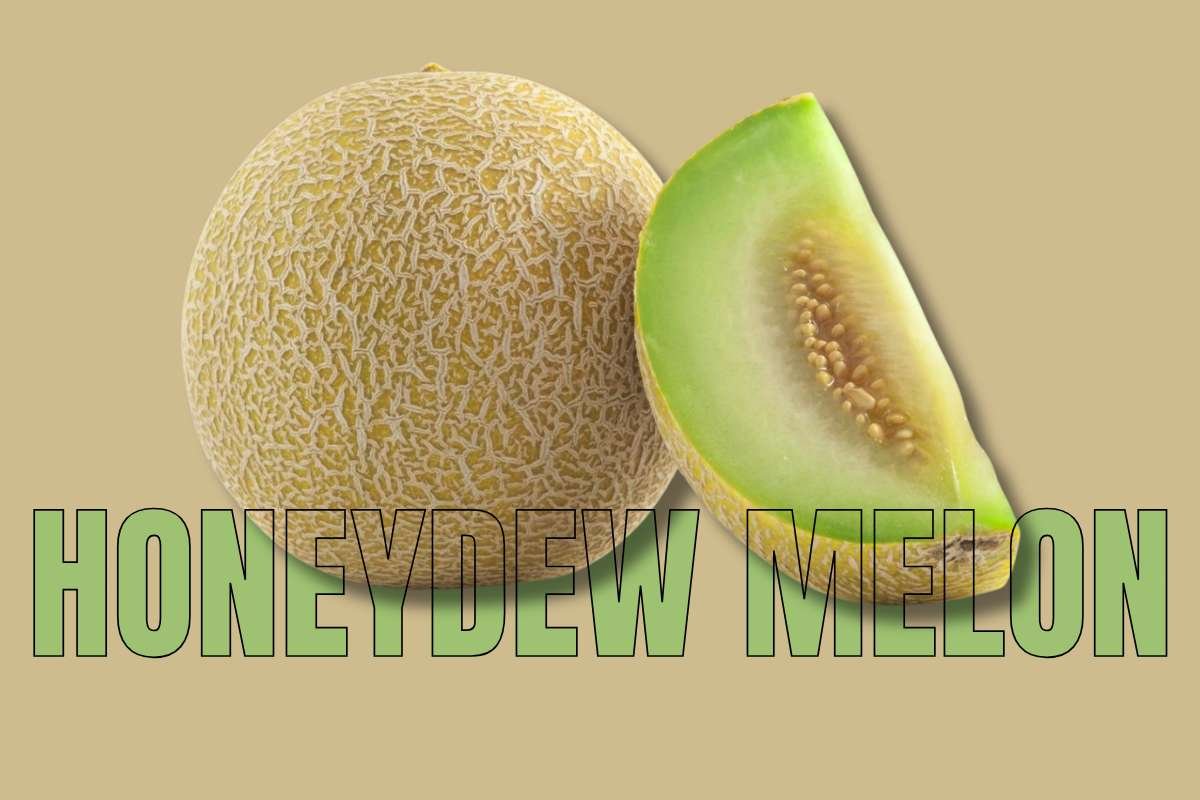 Healthiest Fruits: Top Picks for Daily Nutrition | Healthcare 360 Magazine