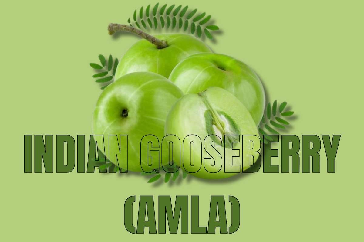 Healthiest Fruits: Top Picks for Daily Nutrition | Healthcare 360 Magazine