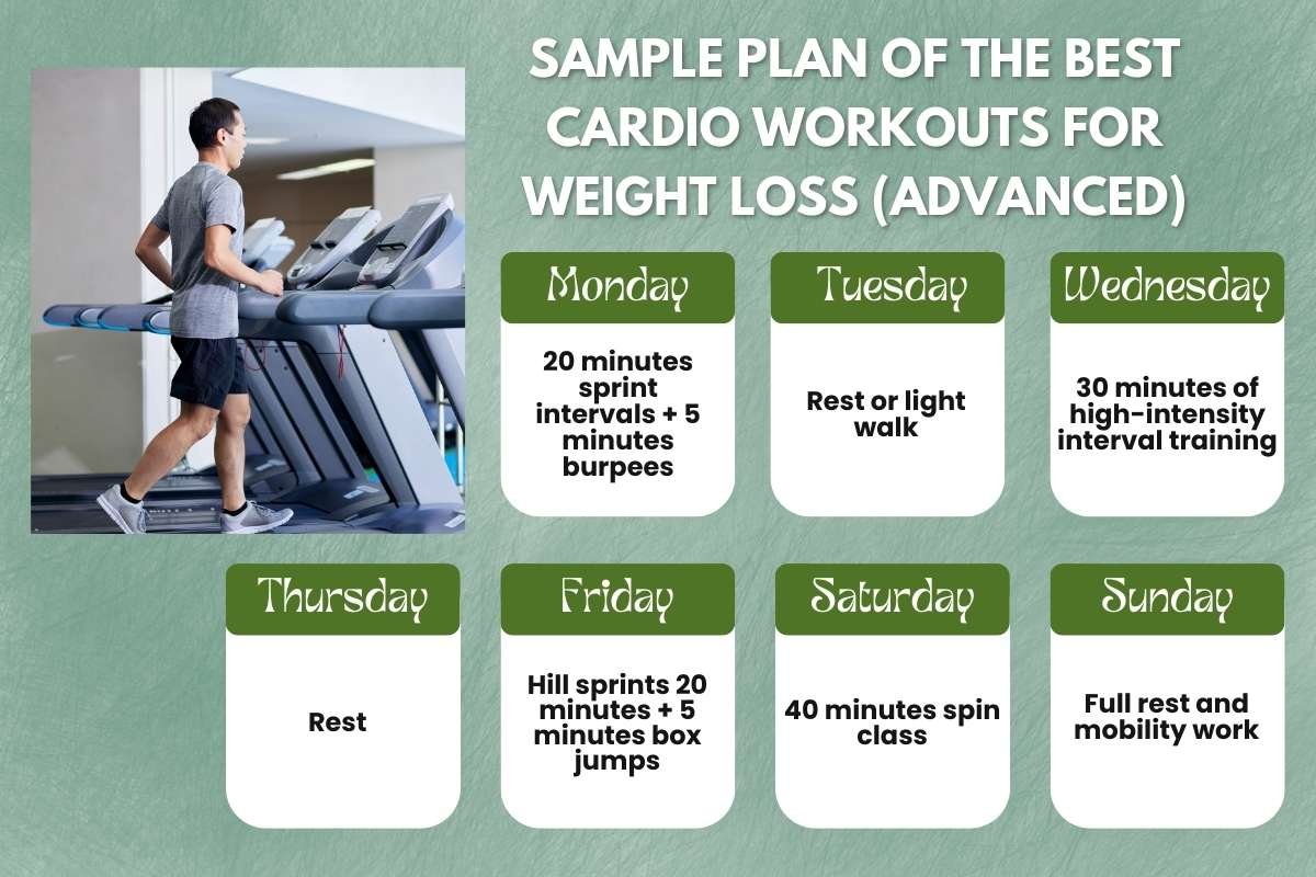 3 Levels of Best Cardio Workouts for Weight Loss | Healthcare 360 Magazine