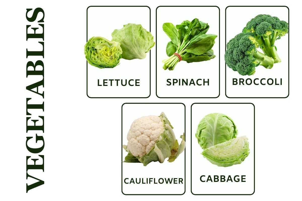 What Is Kosher? Simple Guide to Jewish Food Laws | Healthcare 360 Magazine