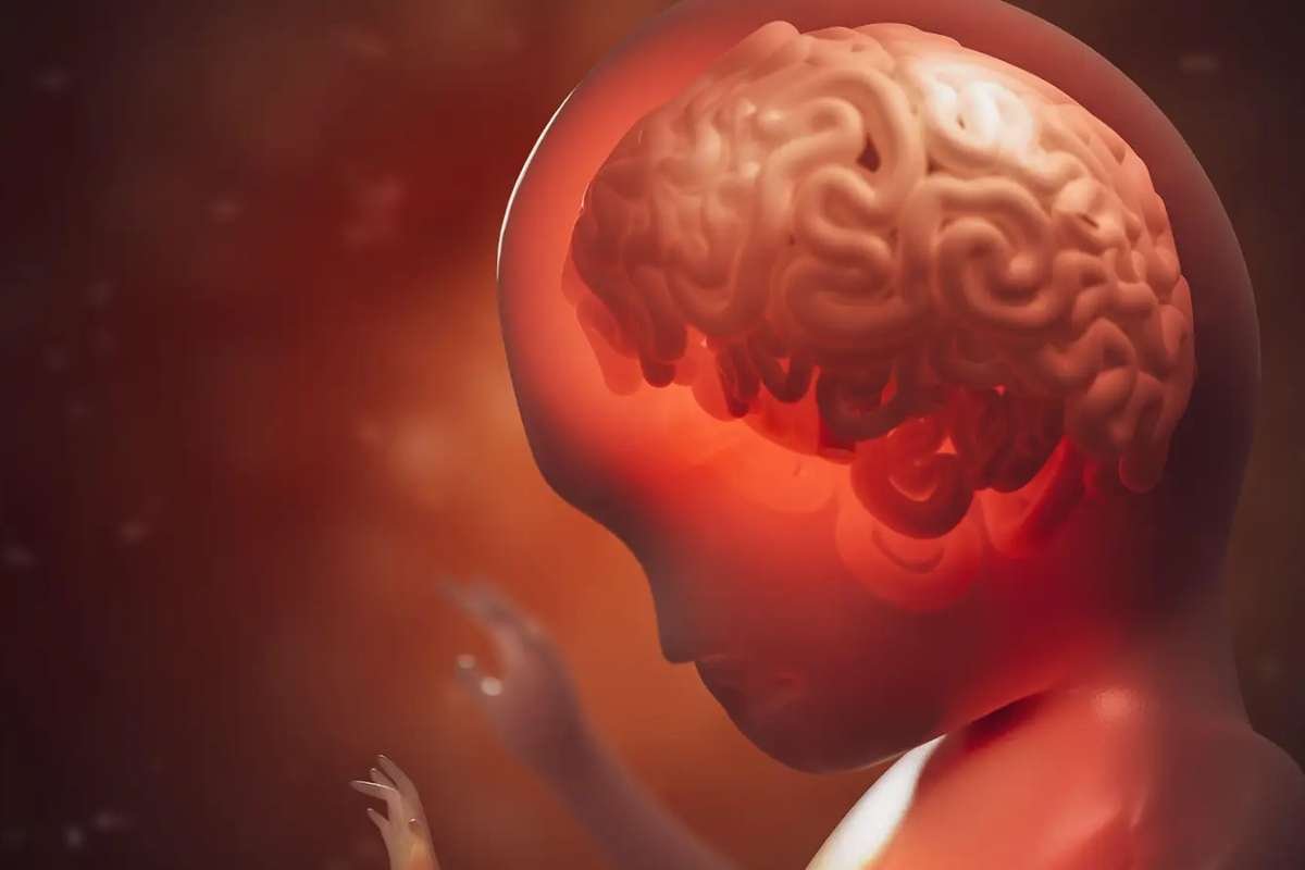 Top 20 Health Benefits of Omega-3 for Your Body | Healthcare 360 Magazine