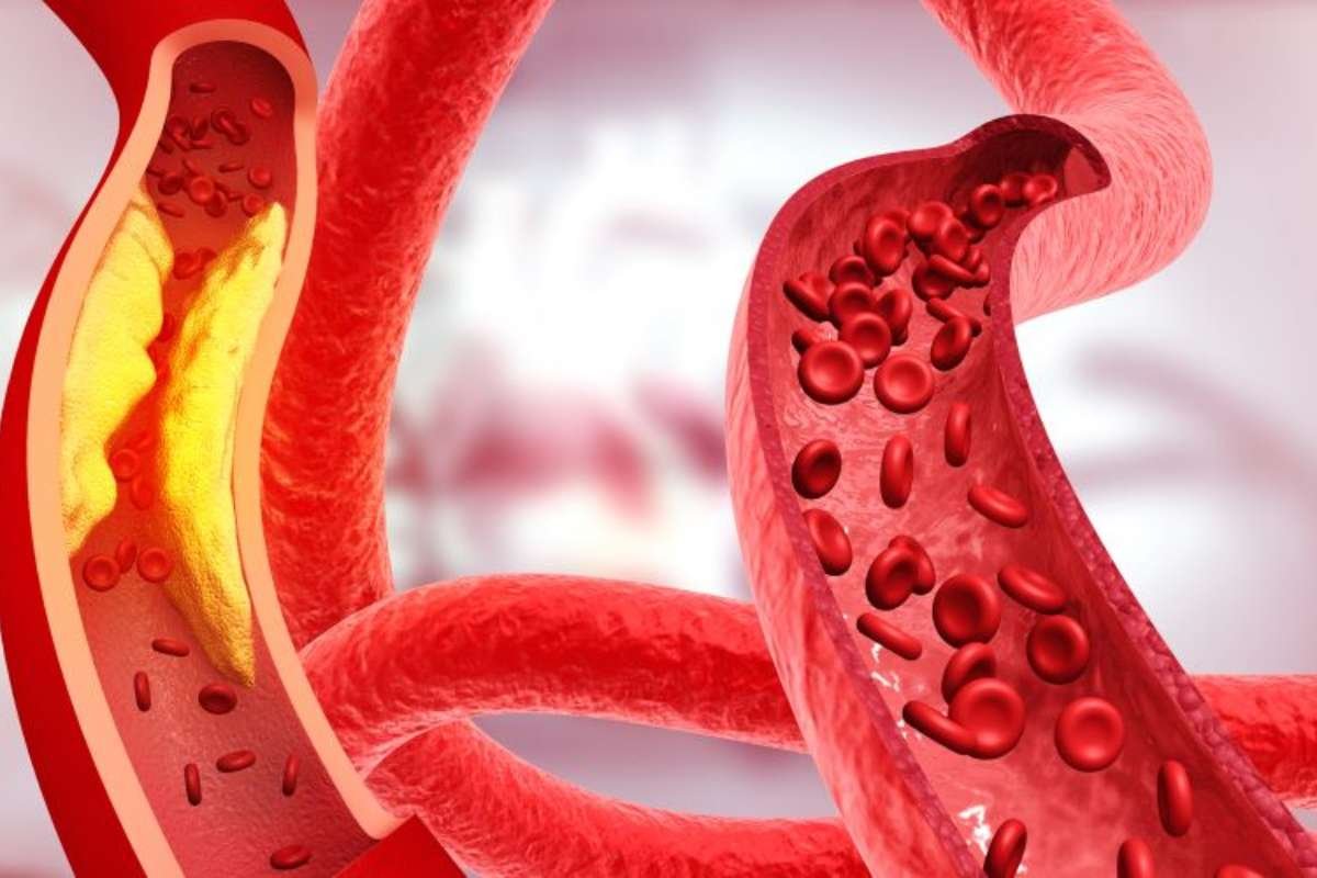 Top 20 Health Benefits of Omega-3 for Your Body | Healthcare 360 Magazine