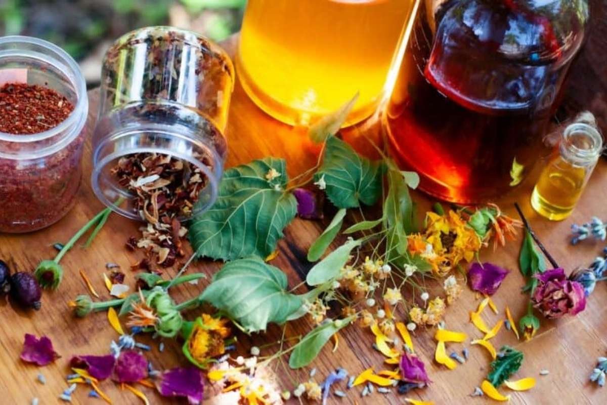 The 10 Hidden Oregano Oil Benefits That You Might Not Know | Healthcare 360 Magazine