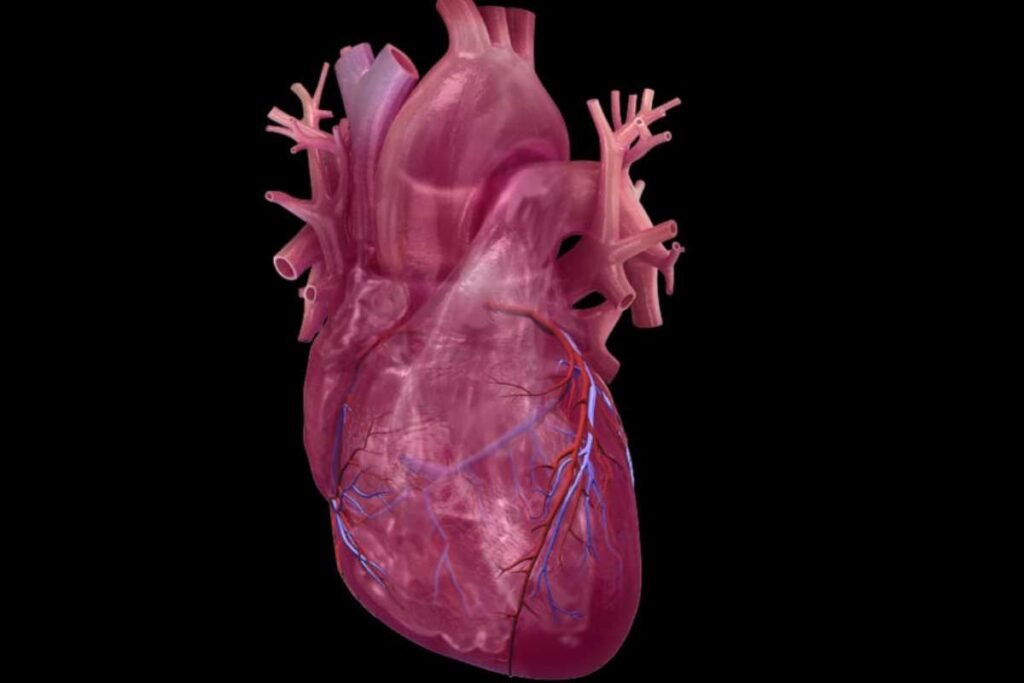 Source - statnews.com