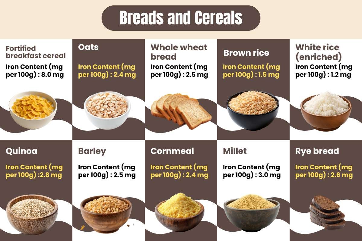 Try These 40 Iron-Rich Foods to Feel More Active and Steady | Healthcare 360 Magazine