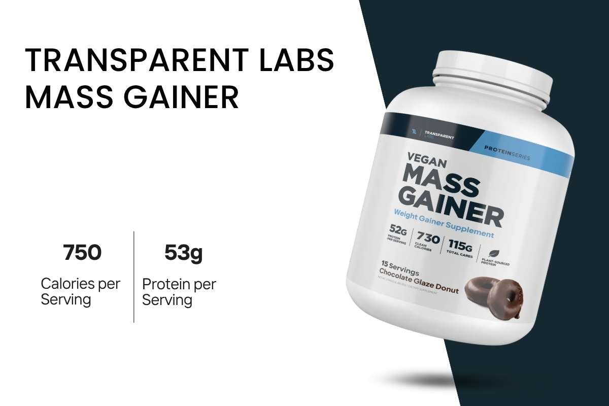 Best Protein Powders for Weight Gain: Top 7 Picks for 2026 | Healthcare 360 Magazine