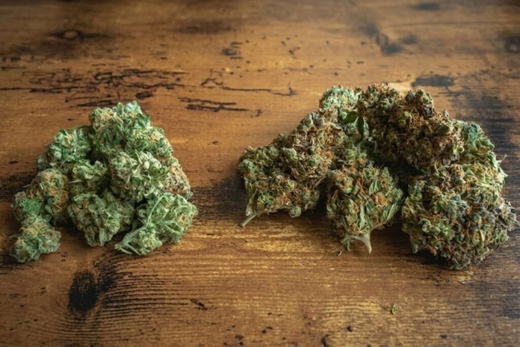 Source - bahamabuds.com