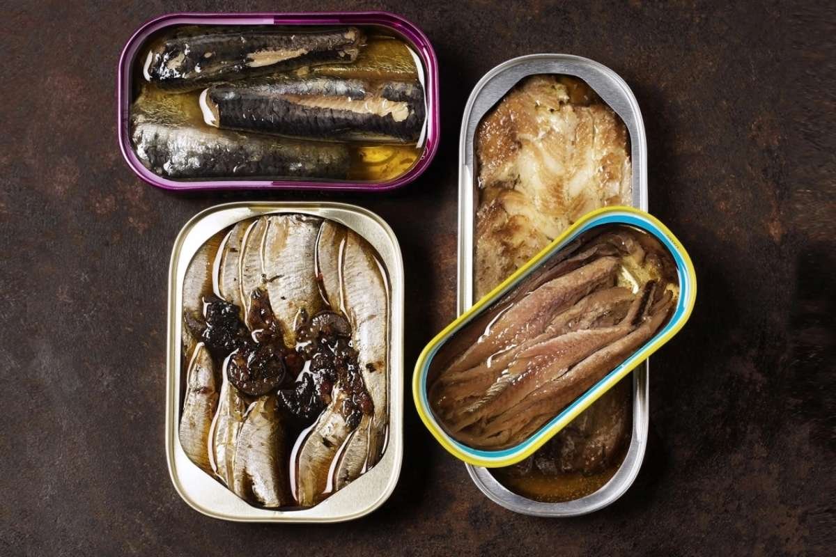 Why a High-Protein Diet for Weight Loss Works and How to Start | Healthcare 360 Magazine