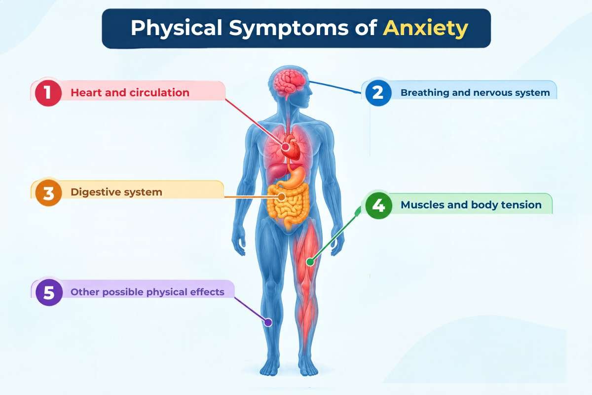 Physical Symptoms of Anxiety That Your Heart, Gut, and Muscles May Feel | Healthcare 360 Magazine