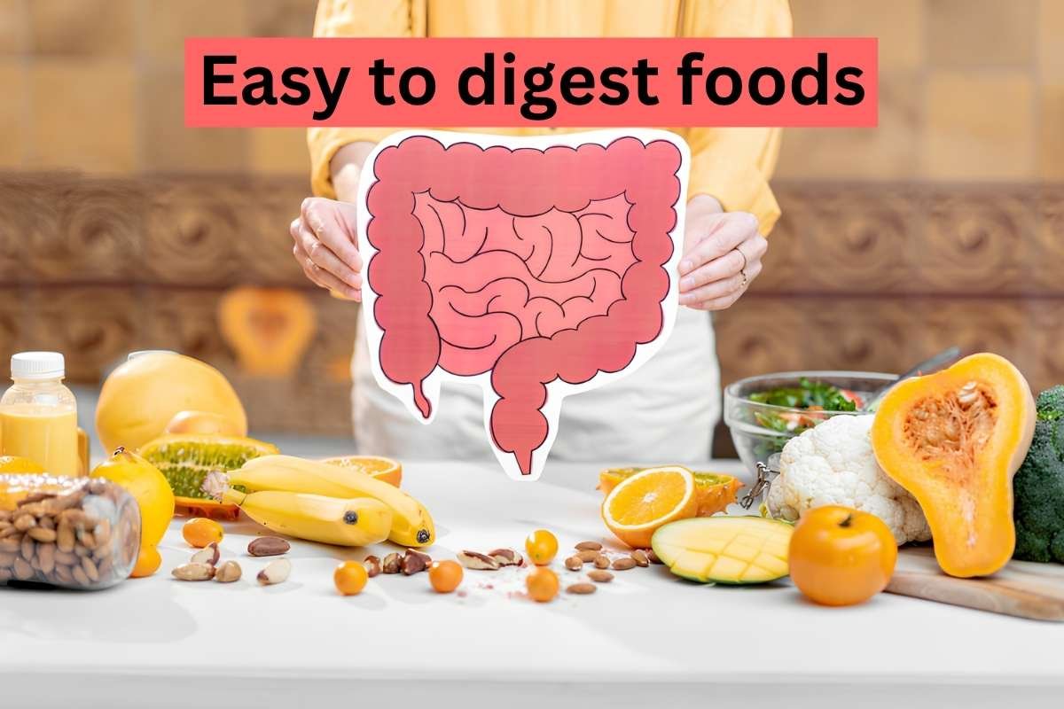 Easy to Digest Foods to Try When Your Stomach Says “Keep It Simple” | Healthcare 360 Magazine