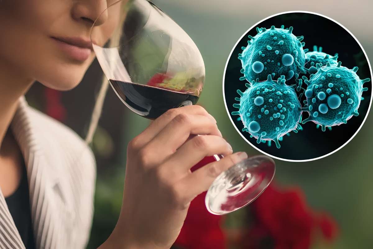 Alcohol-Related Cancer Deaths Rise as Daily Alcohol Use Raises Risk | Healthcare 360 Magazine