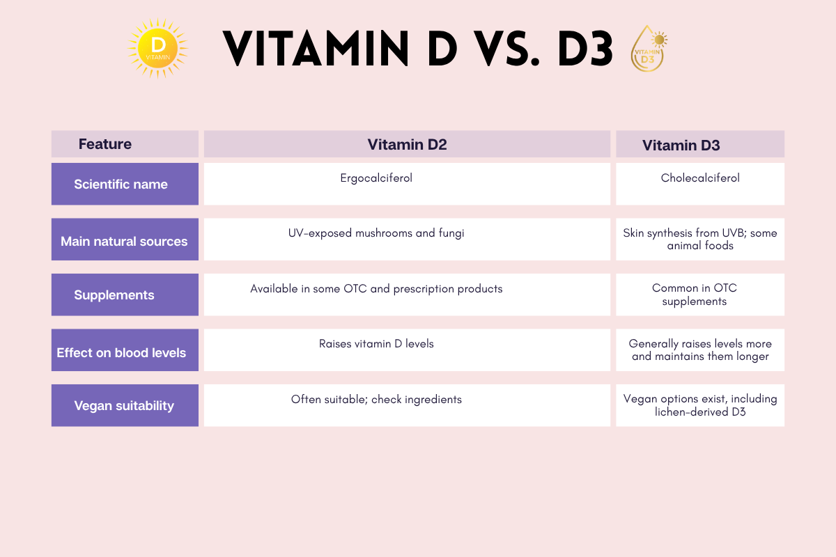 Vitamin D vs. D3: The Difference That Matters for Your Health | Healthcare 360 Magazine