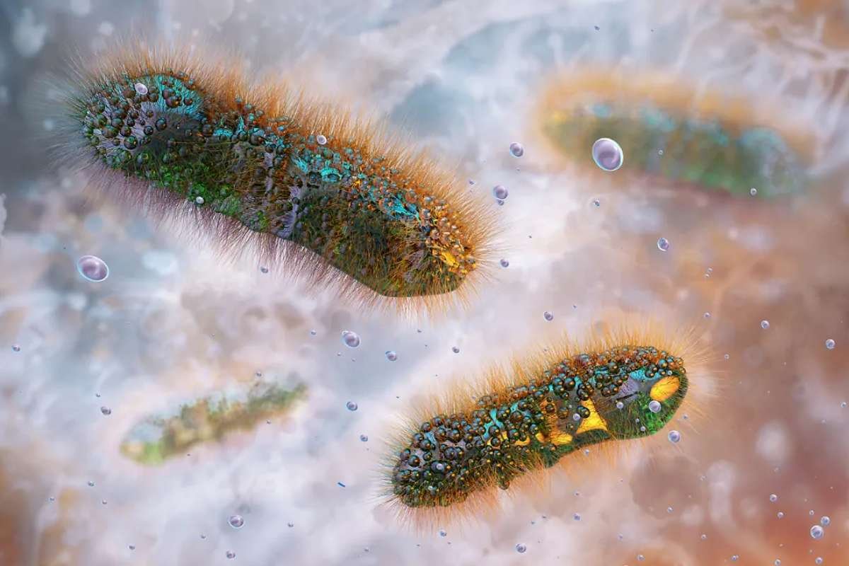 Drug-Resistant Shigella Spreads Through Sexual Contact, Raising Health Concerns | Healthcare 360 Magazine