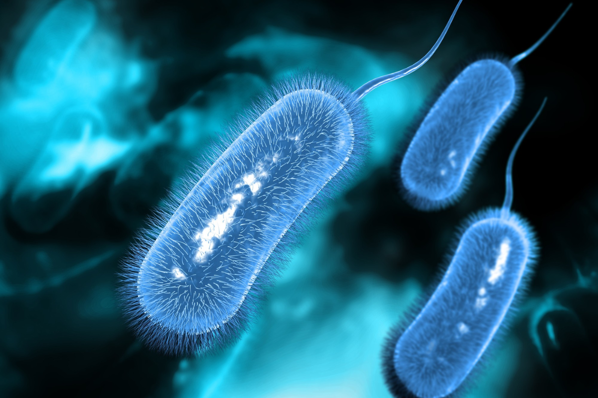 Cancer Caused by Infections: Study Links 12% of Global Cases to Infections | Healthcare 360 Magazine
